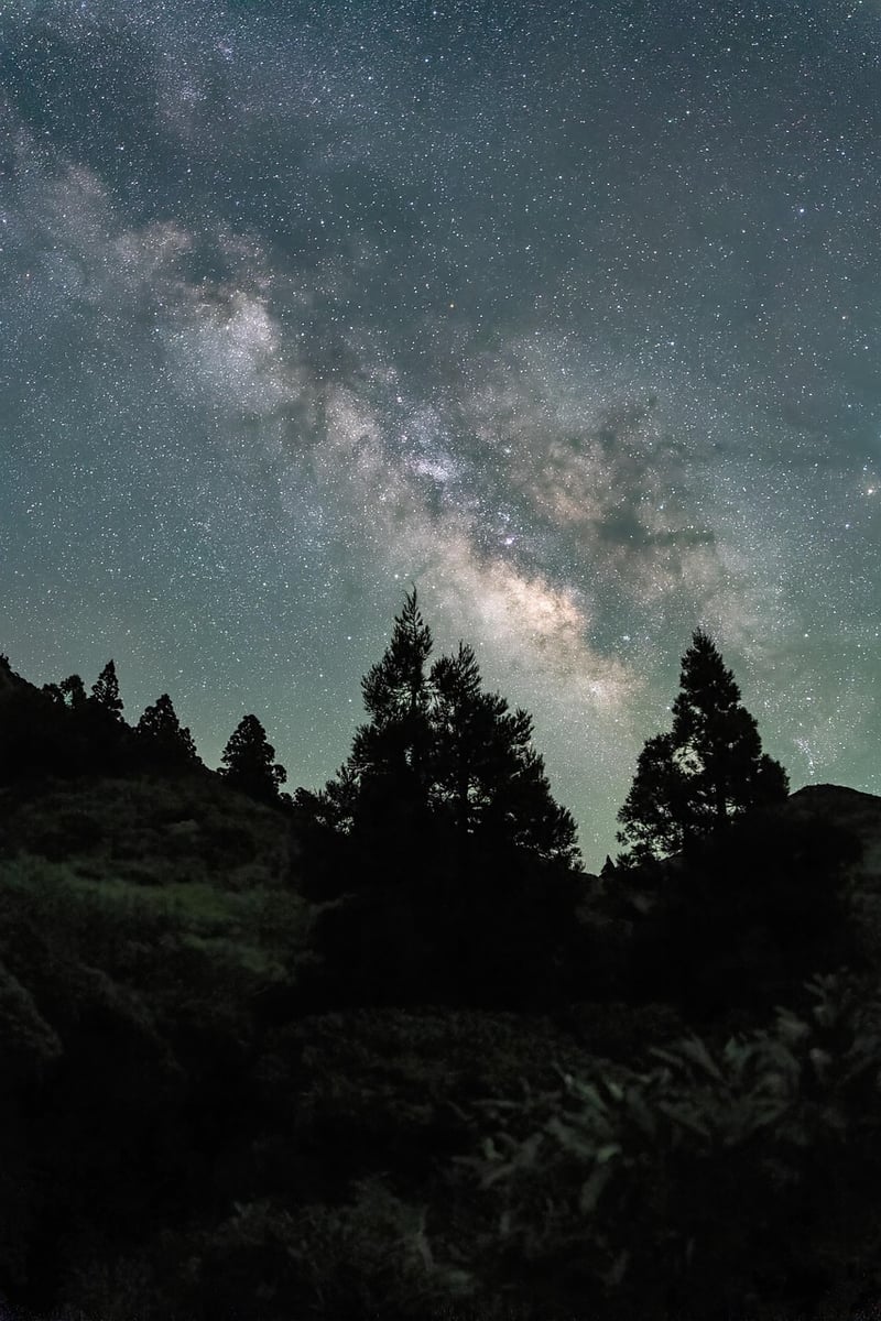 Milky Way over wilderness
